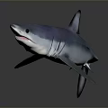Blue and Purple Shark in Side View with Open Mouth and Fins on Gray Background
