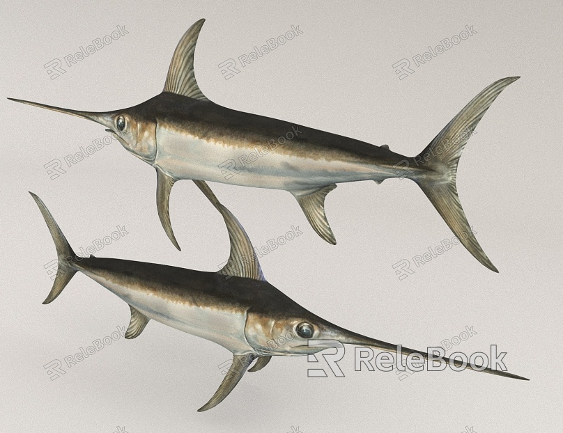 marine fish tuna model