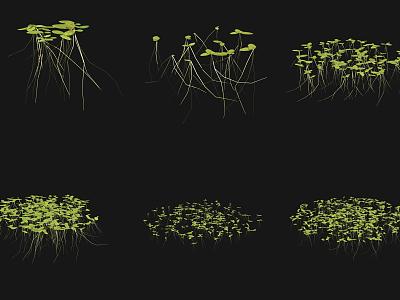 Duckweed Aquatic Plant 3d model