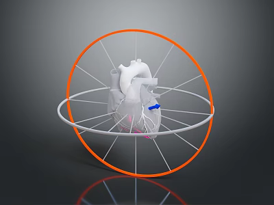 Advanced Cardiac Medical Device With 3D Heart Model And Circular Support Frame 3d model