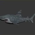 Realistic 3D Model of Gray White Patterned Shark With Open Mouth and Sharp Teeth