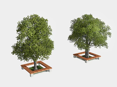 Lush Green Trees Planted On Square Wooden Raised Planter Bases For Outdoor Landscaping 3d model