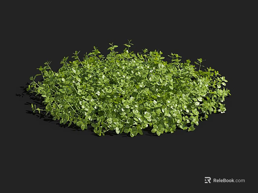 Lush Green Aquatic Plants With Dense Small Leaves And Natural Growth 3d model 
