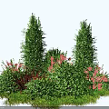 Diverse Garden Shrubs With Tall Columnar Varieties Red Flowers And Lush Green Foliage