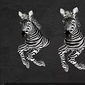 Stylish Zebra Wall Decor With Black And White Stripes Sitting On Dark Background 3d model