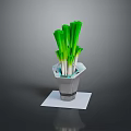 Fresh Green Onions In Geometric Shaped Pot On White Square Mat