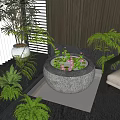 Indoor Courtyard Aquatic Plants In Stone Basin With Water Lilies And Green Ferns