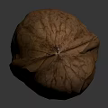 Fresh Whole Walnut With Natural Textured Shell On Dark Background