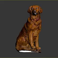 Orange Dog With Red Collar Sitting On Gray Background In Studio 3d model
