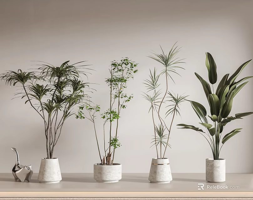 Potted Plants with Different Types Various Leaf Shapes Heights in White Pots on Light Shelf 3d model 