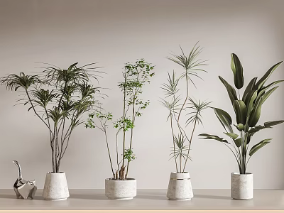 Potted Plants with Different Types Various Leaf Shapes Heights in White Pots on Light Shelf 3d model