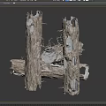 Withered Plant Tree Trunks With Hollow Parts And Dry Branches In Natural Scene