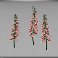 Three Pink Foxglove Plants With Green Stems Bell Flowers And Shiny Accents On Dark Background