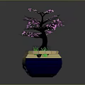Bonsai Tree With Pink Blossoms And Green Grass In Decorative Yellow Blue Pot