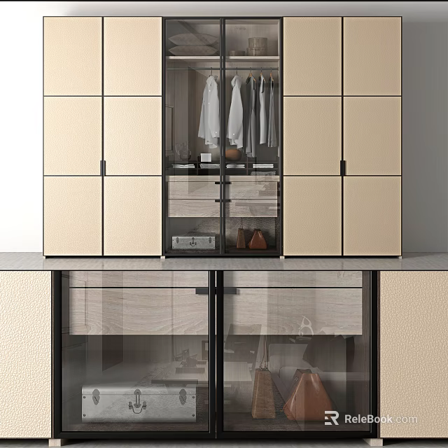 Modern Wardrobe Interior Design With Glass Doors Hanging Space And Drawers 3d model 