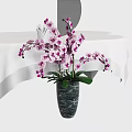 Potted Orchid Plant With Pink And White Flowers In Grey Marble Vase And Green Leaves