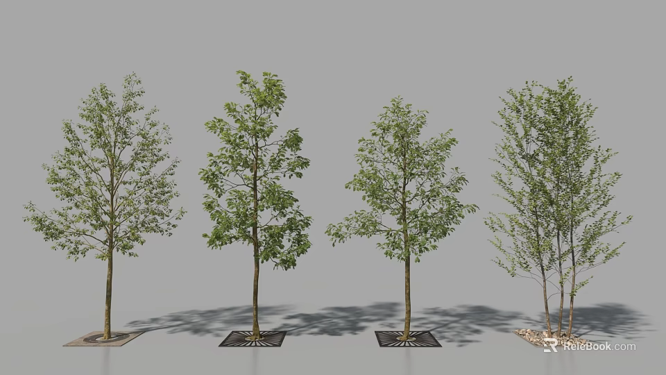 Arbor Trees Displaying Varied Green Foliage and Shadow Effects on Bases 3d model