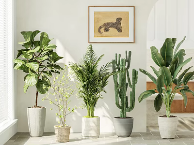 Indoor Potted Plants With Ficus Palm Cactus And Decorative Ceramic Pots 3d model