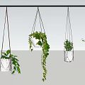 Various Hanging Basket Plants with Lush Trailing Vines in White Geometric Planters for Home Decoration