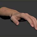 Realistic Anatomical Human Hand With Open Palm Fingers And Visible Hair Strands