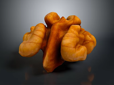 Fresh Organic Walnut With Natural Brown Shell And Nutritious Kernel For Healthy Snack 3d model