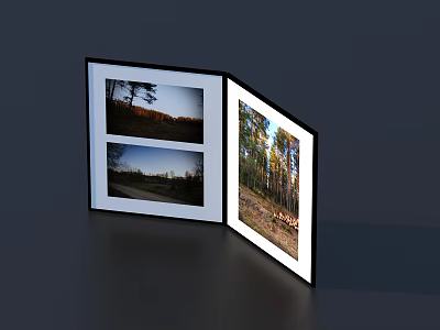 Open Framed Landscape Paintings with Forest Tree Scenes Road and Sky Views 3d model