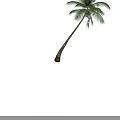 Tropical Palm Tree With Curved Trunk And Lush Green Fronds