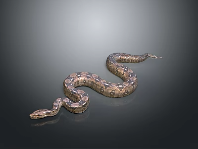 Brown Scaled Reptile Snake With Coiled Body And Pattern On Dark Background 3d model