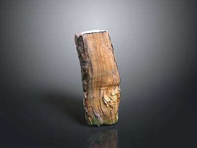 Natural Wooden Arbor Stump With Brown Green Surface And Artistic Texture 3d model