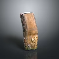 Natural Wooden Arbor Stump With Brown Green Surface And Artistic Texture