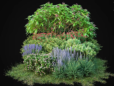Lush Garden Shrubs With Purple Lavender Red Flowers And Green Foliage 3d model