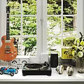 Headphones and Speakers with Vinyl Turntable in Bright Room with Green Plants