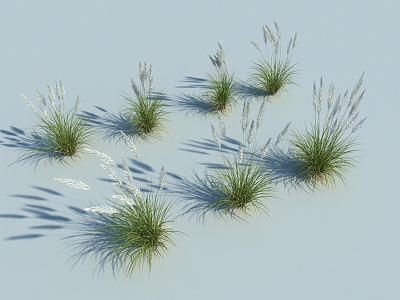 Modern shrubs 3d model