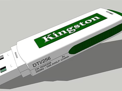 Kingston DTI256 USB Flash Drive with White and Green Design for Digital Storage 3d model