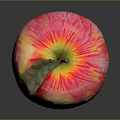 Fresh Red and Yellow Striped Apple with Green Leaf and Stem on Dark Background