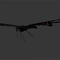 Black Butterfly With White And Red Spots Flying On Gray Background