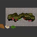 Colorful Tropical Fish Swimming Near Mossy Rock With Red Green Flowers And Coral Decor