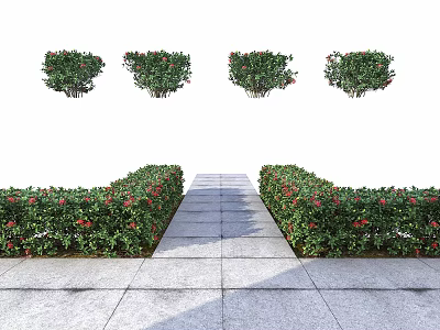 Green Plant Wall With Red Flowers Lining Stone Pathway In Outdoor Garden Area 3d model