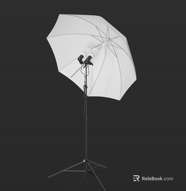 Professional Photography Umbrella With Flash And Tripod Stand For Studio Lighting Equipment 3d model 