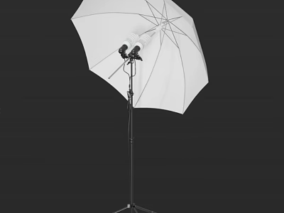 Professional Photography Umbrella With Flash And Tripod Stand For Studio Lighting Equipment 3d model