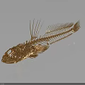 Golden Fish Skeleton Structure With Skull Spines And Dark Background Reflection