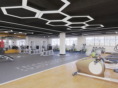 Modern Gym 3d model