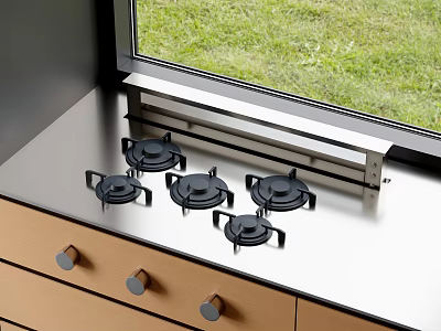 Modern Five Burner Gas Stove On Stainless Steel Countertop By Window With Green Grass 3d model
