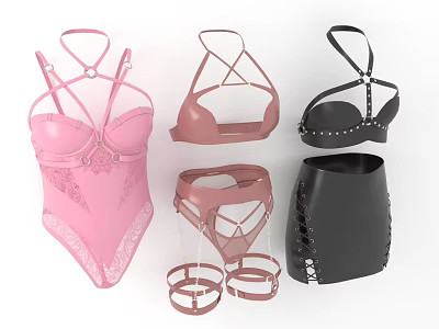 Stylish Women's Intimate Clothes Including Pink Bodysuit Black Bikini Top And Corset Accessories 3d model