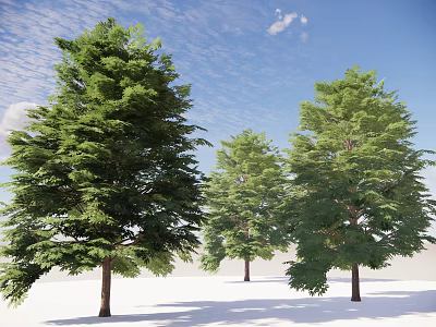Lush Green Arbor Trees With Brown Trunks Under Blue Sky And White Clouds 3d model