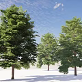 Lush Green Arbor Trees With Brown Trunks Under Blue Sky And White Clouds 3d model