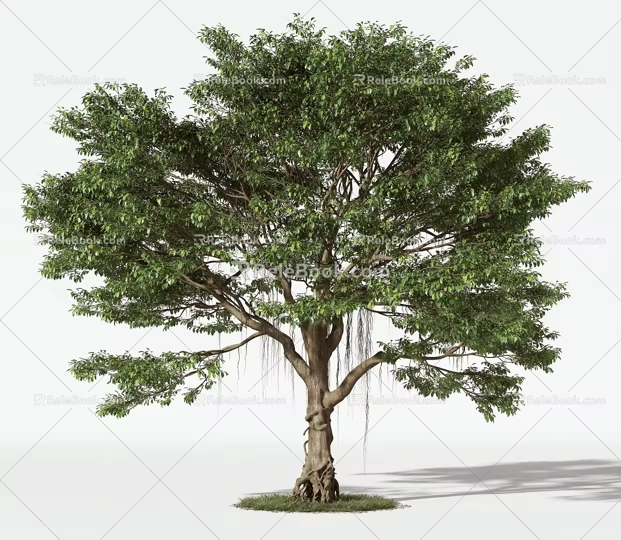 Trees Arbor 3d model