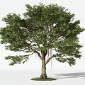 Trees Arbor 3d model