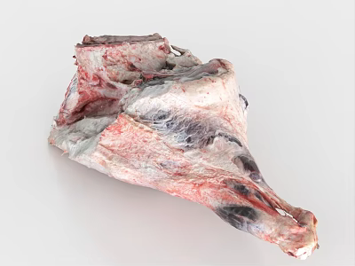 Fresh Raw Bone In Meat Leg Cut With Marbled Fat And Muscle Texture 3d model