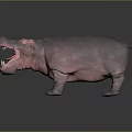 Hippo Model With Open Mouth On Dark Background And Reflection